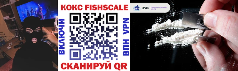 Cocaine FishScale  где найти наркотики  Слюдянка 